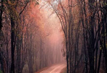 放弃签约凯恩，曼联觉得不值！三年夺冠白日做梦.