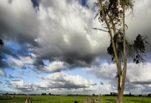 Bwin:3秒进OR不进大挑战丨6个经典瞬间你能猜对多少?.