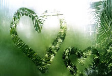 德甲联赛:拜仁慕尼黑以1比2败给美因茨.