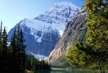 战平富勒姆掉分 炮兵争冠希望受挫.