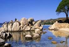 曝凯恩重返英超加盟利物浦，违约金5400万镑，去拜仁只为冠军梦？.